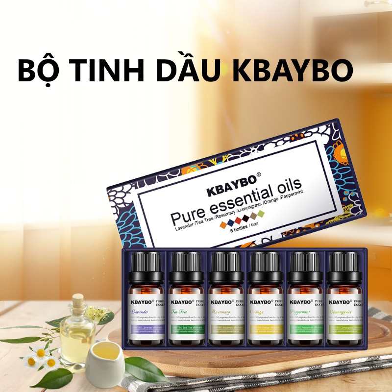 Bộ 6 Chai Tinh Dầu Thơm Phòng Xe Hơi KBAYBO