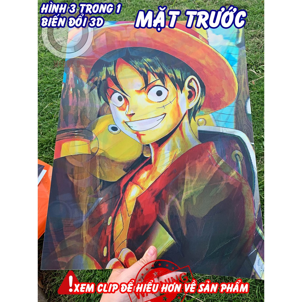 POSTER ĐỘNG 3 TRONG 1 3D 40x30cm ONEPICE ASL ACE, LUFFY, SABO - THAY ĐỔI GÓC NHÌN - BIẾN HÌNH -