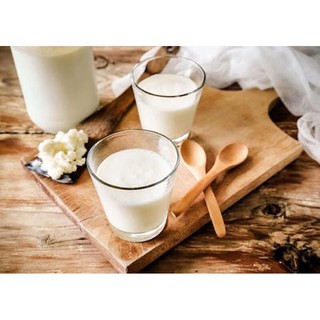 men khô Kefir làm sữa chua