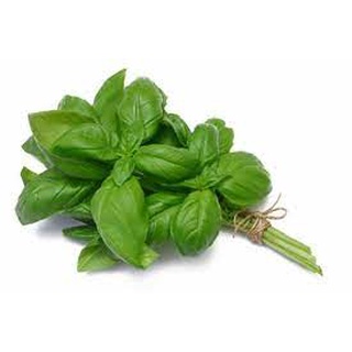 Lá Basil tươi húng quế fresh leaves Tươi Nấu Ăn 10g/100g