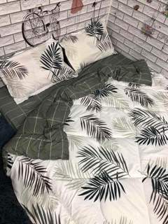 Bộ Drap & Chăn Phao Cotton Poly Lá Me Trắng