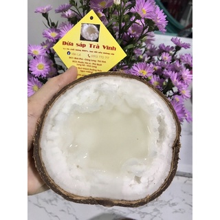 Dừa sáp Trà Vinh Loại 1 từ 900g-1kg