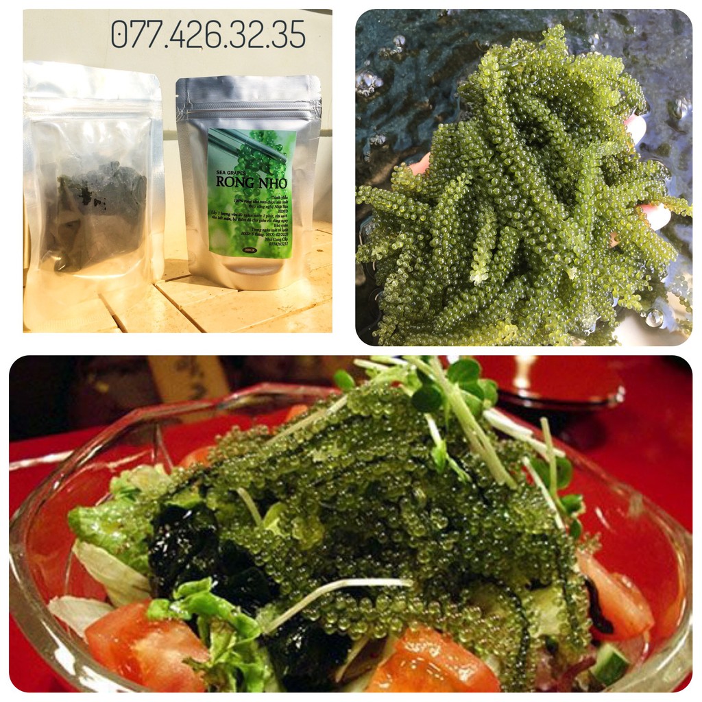 [Freeship]Kèm 03 sot me - 1Kg Rong nho tách nước Khánh Hòa | BigBuy360 - bigbuy360.vn