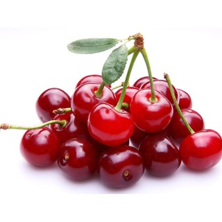 hạt giống cherry mỹ f1