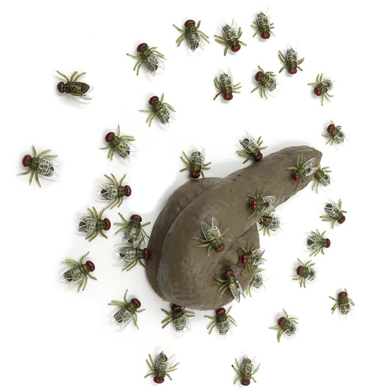 Bộ 100 Con Ruồi Giả Bằng Nhựa Vui Nhộn Cho Dịp Halloween