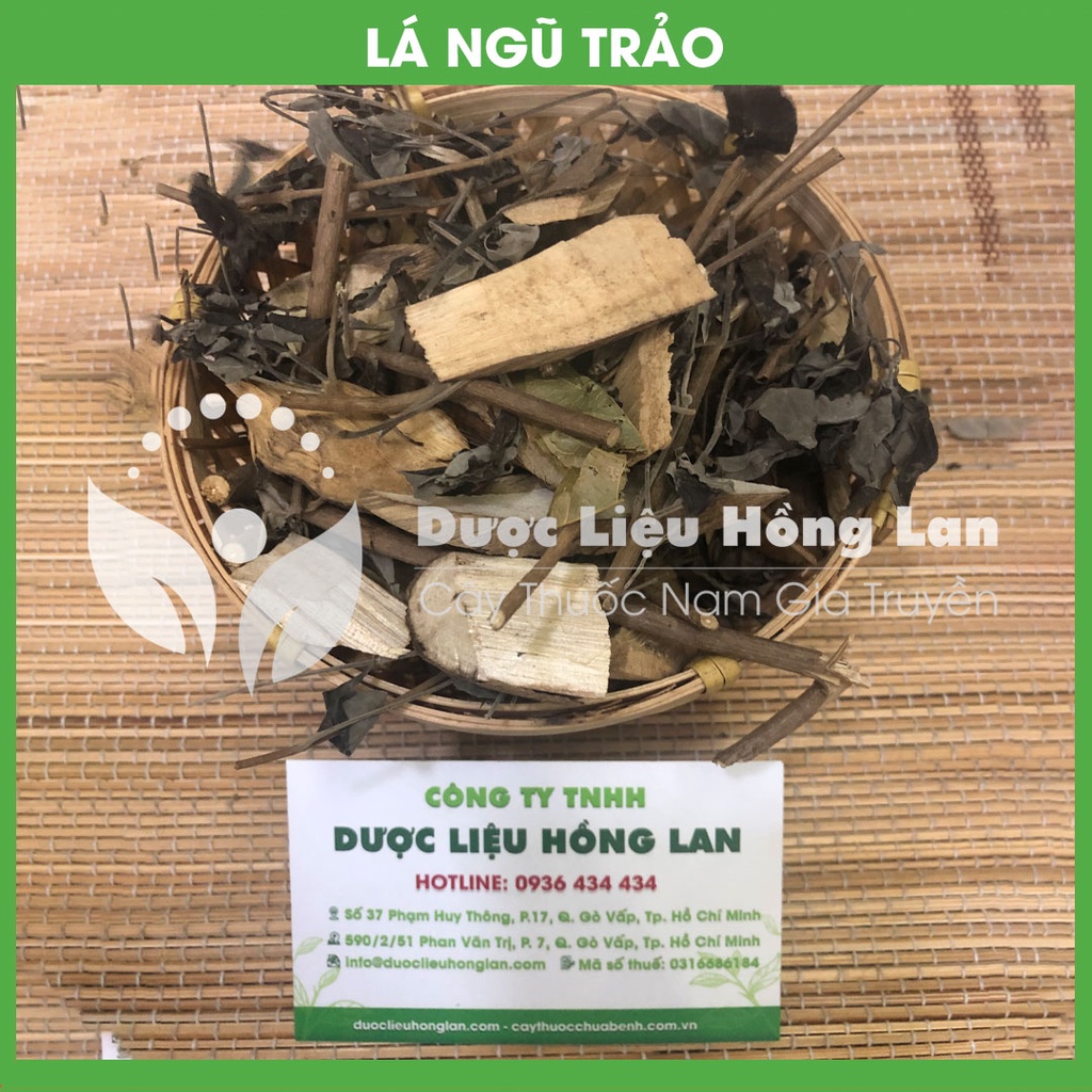 LÁ CÂY NGŨ TRẢO khô sạch đóng gói 1kg - congtyduoclieuhonglan