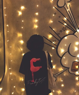 ÁO FLAMINGO TEE