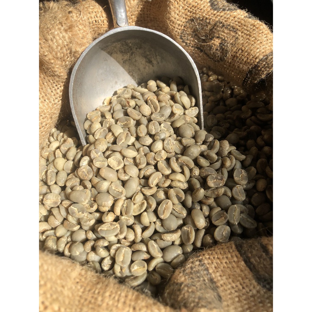 Cà Phê Arabica cầu đất rang sẵn hạt mộc nguyên chất 1kg đắng dịu hương thơm nhẹ nhàng quyến rũ vị hơi chua | BigBuy360 - bigbuy360.vn