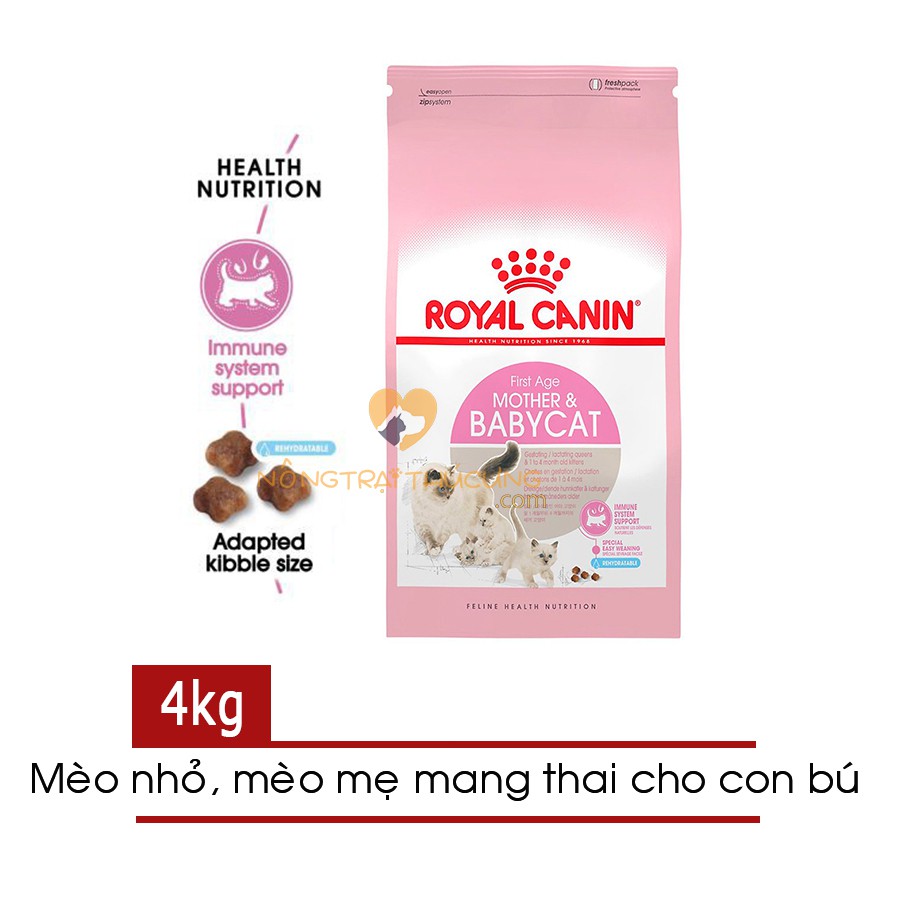 Hạt Royal Canin Mother&Babycat - Cho Mèo Mẹ Mang Thai Hoặc Mèo Dưới 2 tháng tuổi