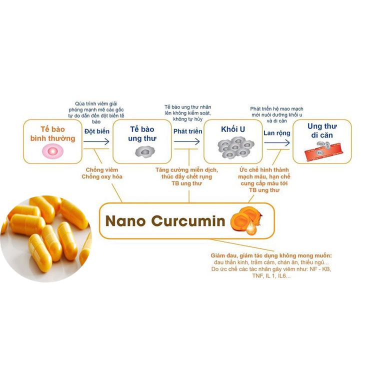 Nano Curcumin Tam Thất Xạ Đen Plus - Học Viện Quân Y (Hộp 30 viên)