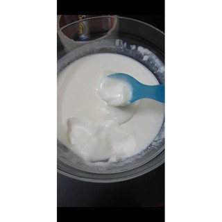 Men Viili tươi (làm sữa chua 25k/phần)