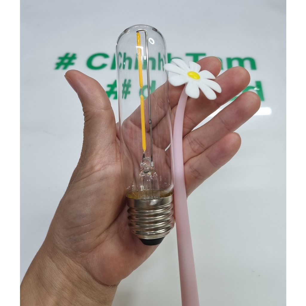 Bóng đèn led Edison T125 2W 220Vac