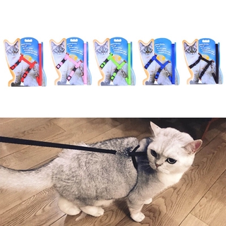 Dây Dắt Thú Cưng Đi Dạo