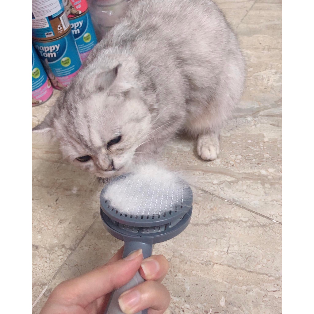 Lược chải lông cho thú cưng chó mèo cao cấp PakeWay T9 - (Hàng chính hãng)