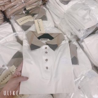 Áo cổ đức-VNXK