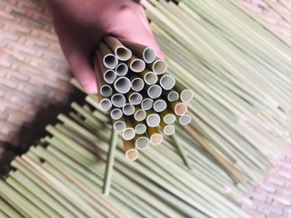 Ống hút cỏ bàng