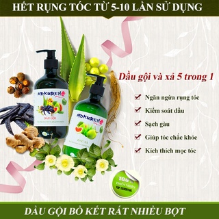 Dầu GộI CHỐNG RỤNG TÓC TỪ THIÊN NHIÊN