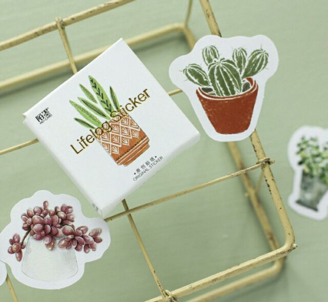 Bộ 45 sticker Sen đá, xương rồng Cactus