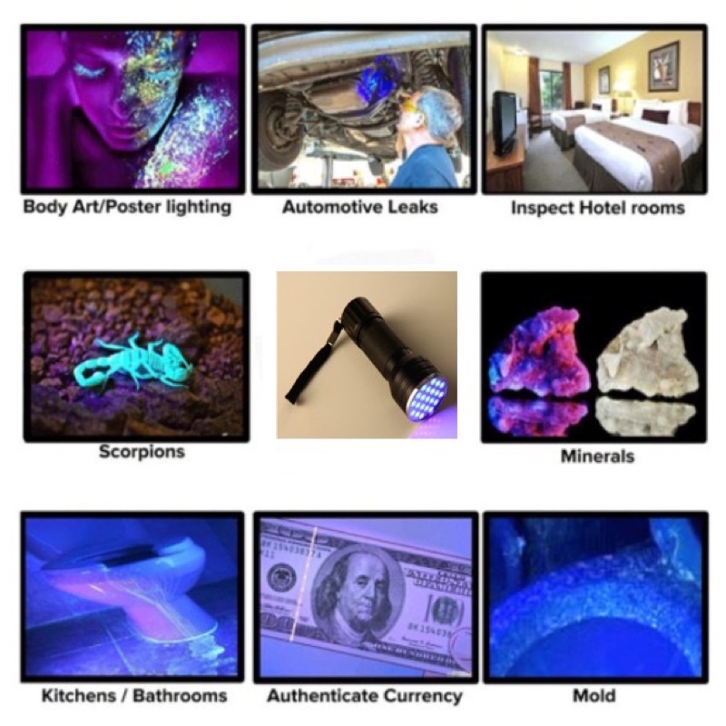 Đèn Pin UV Led 21 Bóng 395nm Soi Keo, Giấy Tờ