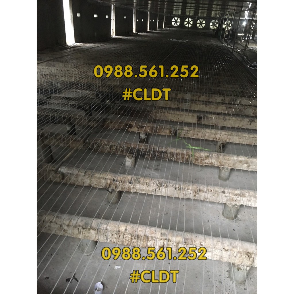 Dây cước đặc 3ly, 4ly - dây gân cước PA - cắt phát cỏ, dây căng