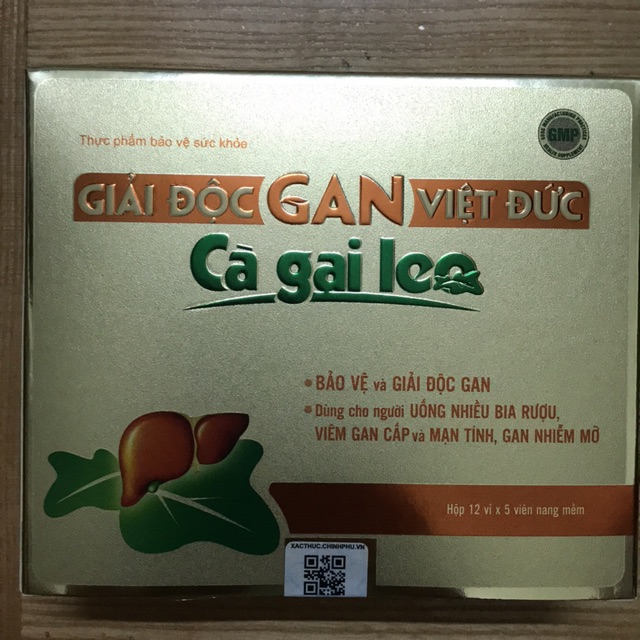 Giải độc gan việt Đức- cà gai leo