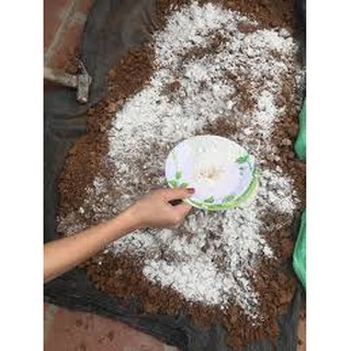 1kg Vôi Bột Xử Lý Đất