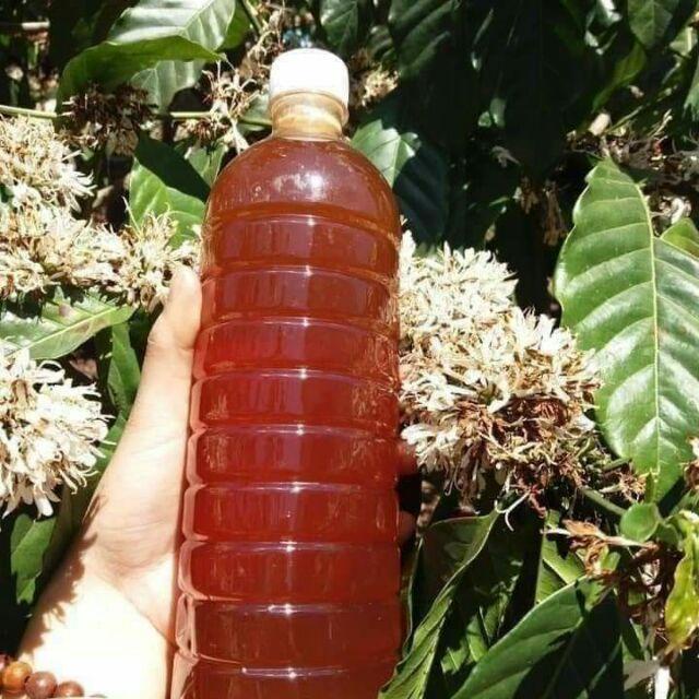 [Ảnh thật] [HCM] Mật Ong Nuôi Tự Nhiên Hoa Cà Phê Dak Lak Loại Chai Nhựa 1 Lít Nguyên Chất