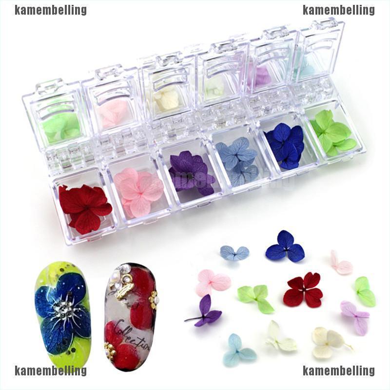 (Hàng Mới Về) Hộp Nhựa 12 Ngăn Đựng Đồ Trang Trí Móng Tay