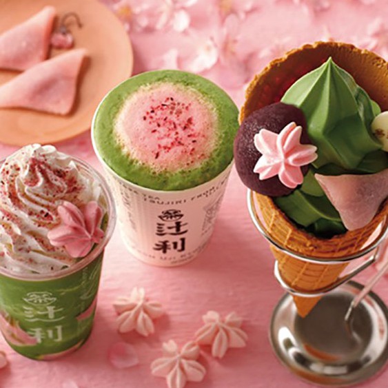 Bột Hoa Anh Đào Làm Trà sữa Đá xay Sữa tươi - Tặng kèm nhiều công thức free - nhập khẩu độc quyền BEOBE Hàn Quốc | BigBuy360 - bigbuy360.vn