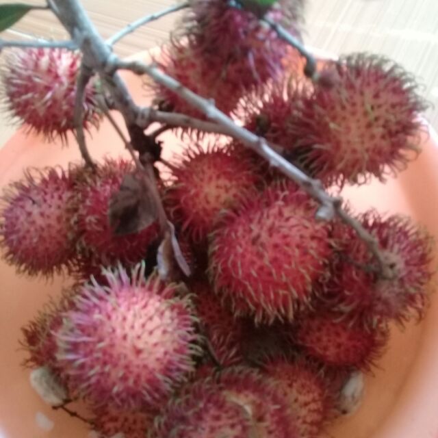 Hàng trả khách