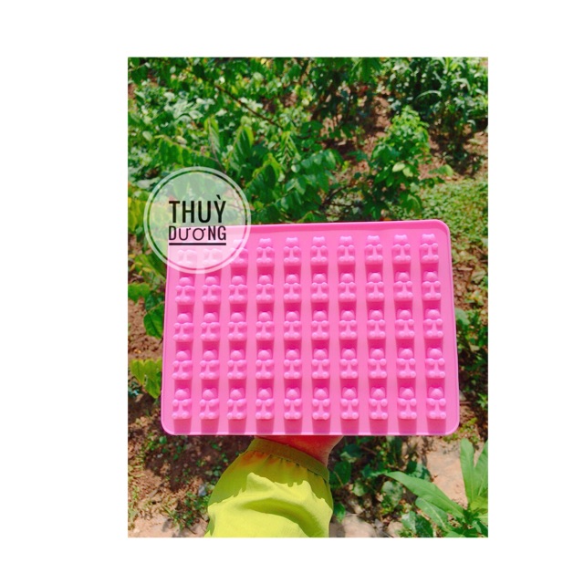 Khuôn silicon chip chip 50 hình gấu