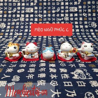 SET 5 MÈO MAY MẮN THẢM ĐỎ 4CM