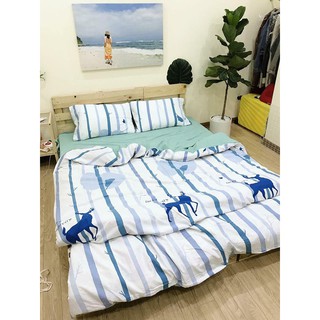 bộ chăn ga gối đũi