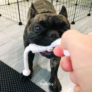 Dây thừng đồ chơi huấn luyện chó