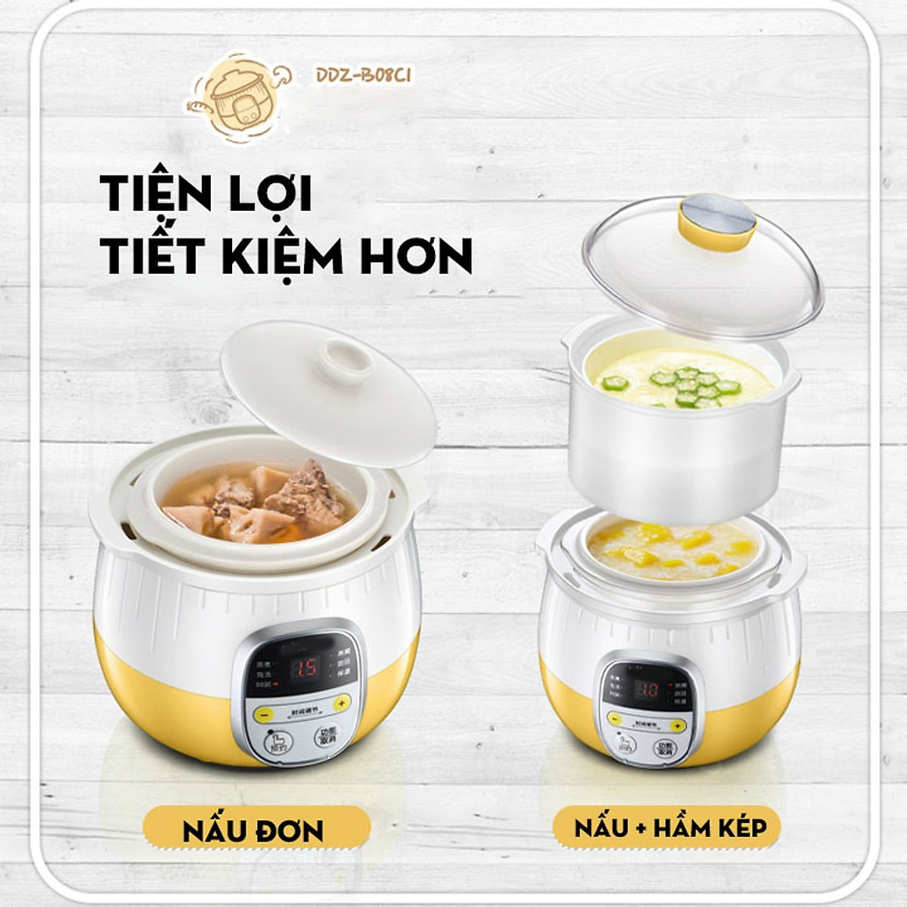 Nồi Nấu Cháo Chậm Hầm Hấp Cách Thủy Đa Năng Bear - Bản Quốc Tế