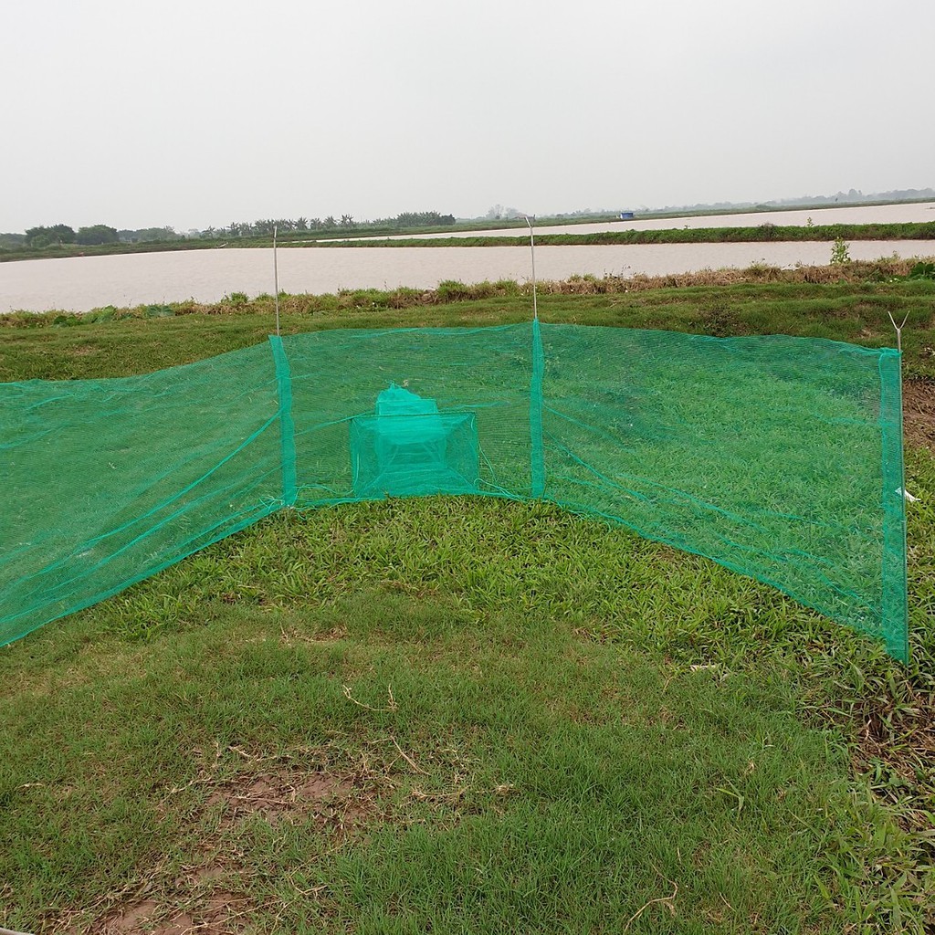 Đăng chặn sông, cống - bắt tôm tép tất cả các loại cá - Dớn bắt cá, cua, lươn - Top1VN chất lượng 102