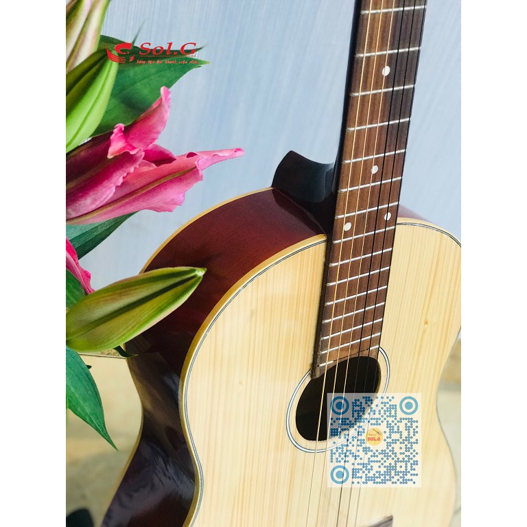 Đàn Guitar Classic Việt Nam giá Rẻ CLES