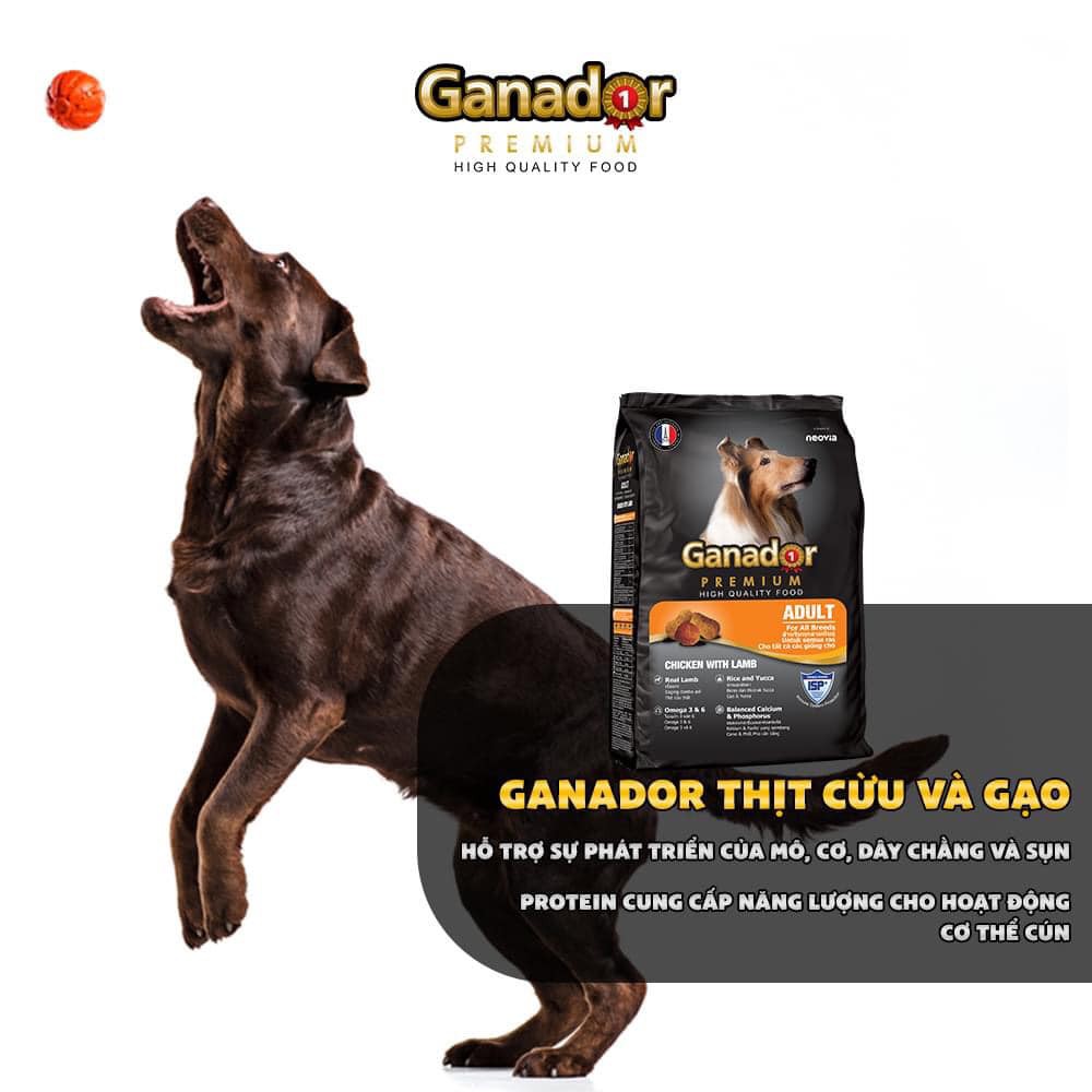 Ganador là thương hiệu thức ăn cho cún nổi tiếng của Pháp