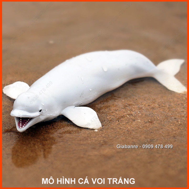 Mô Hình Cá Voi Trắng Beluga - 18-22cm -  Thế Giới Động Vật - 7673.9