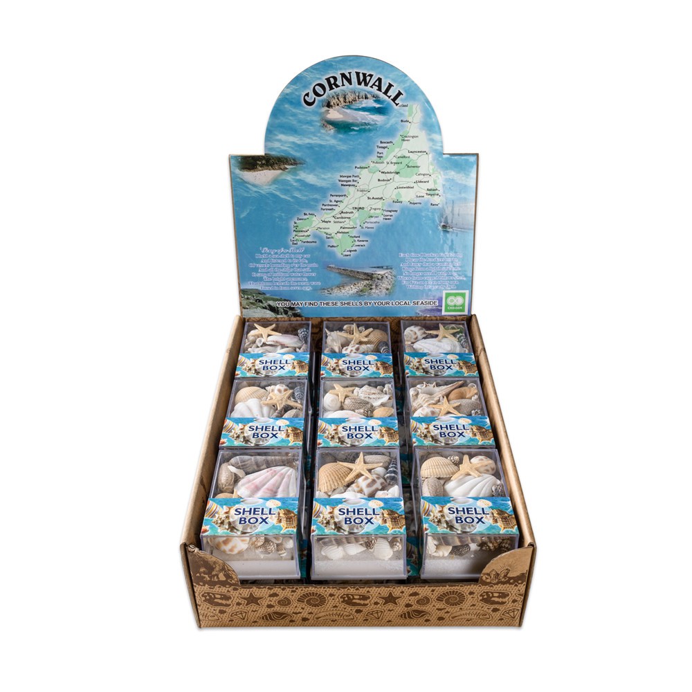 1 Hộp Bọt Biển Tự Nhiên Hình Vỏ Sò / Sao Biển Dùng Trang Trí Nhà Cửa