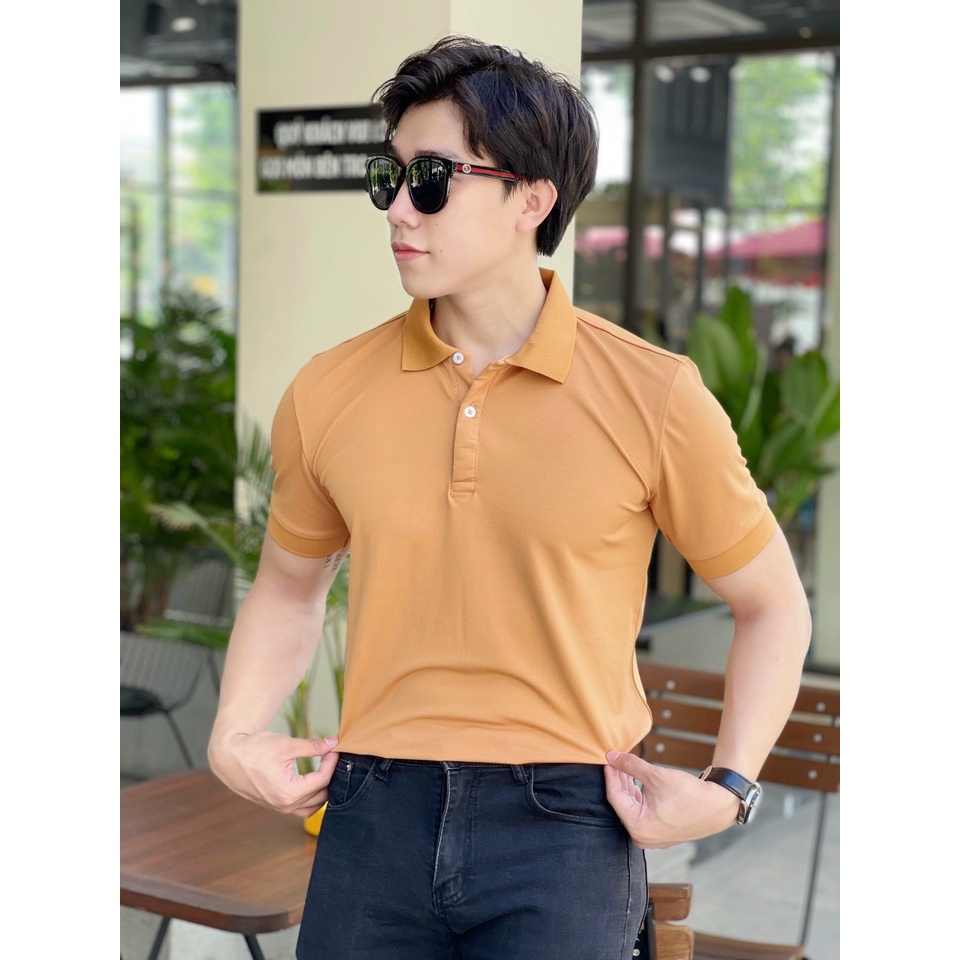 Áo polo nam trơn  cổ bẻ 5 màu vải cá sấu Cotton xuất xịn,chuẩn form, sang trọng - thanh lịch TB010