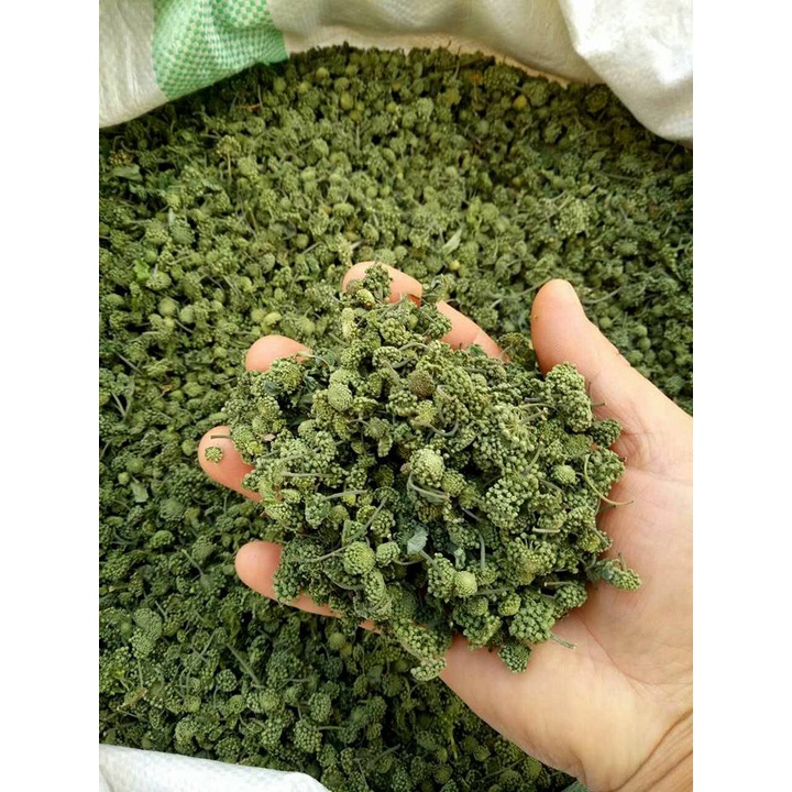 100 gram nụ tam thất loại 1 anh đẹp _ trathaomocsi