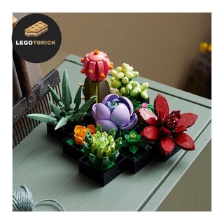Đồ chơi lắp ráp xếp hình thông minh Chậu cây hoa sen đá xương rồng Tbrick