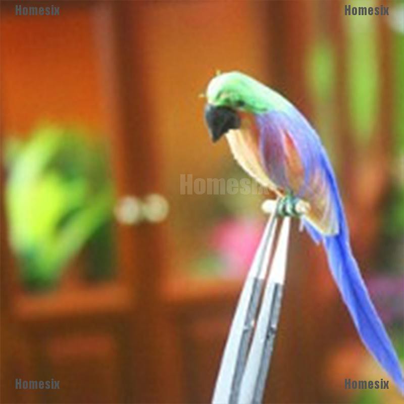 [HoMSI] Mini Parrot Miniature Casa De Boneca For 1:12 Scale DIY Dollhouse Accessories SUU