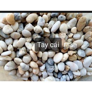 sỏi trang trí bể cá cảnh 1kg