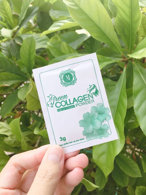 Diệp lục Collagen - Tăng cường nội tiết tố nữ (Hàng chính hãng) | BigBuy360 - bigbuy360.vn