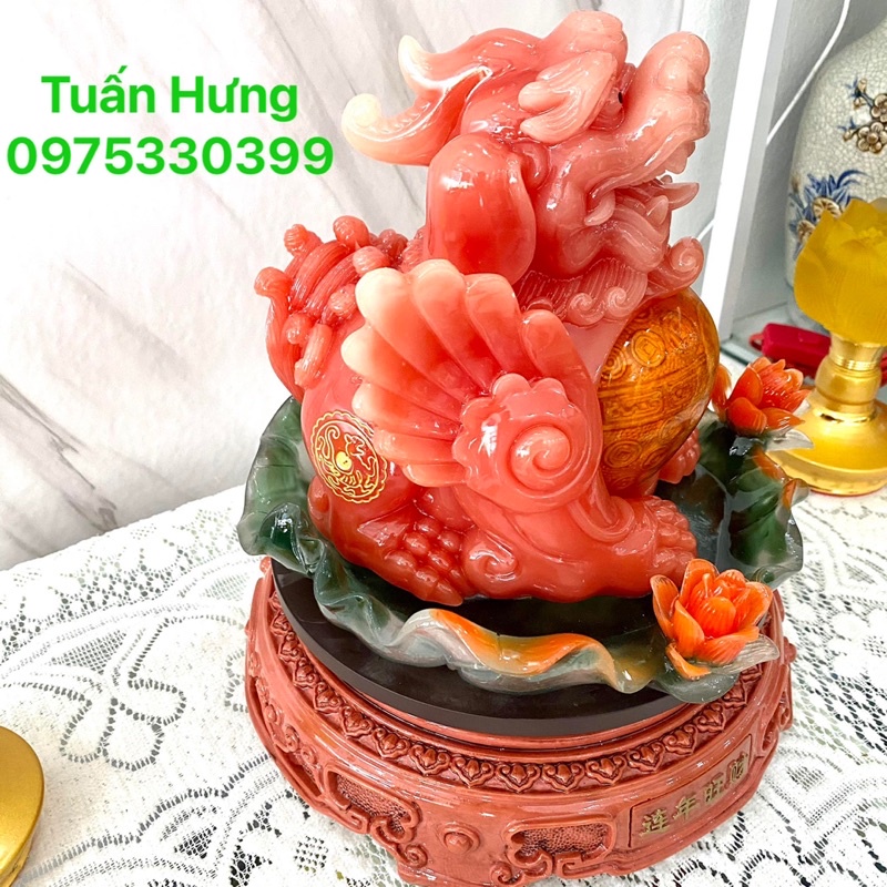 Thiềm thừ + tỳ hưu đá , cóc đỏ size lớn thiềm thừ chiêu tài lộc tỳ hưu phong thuỷ