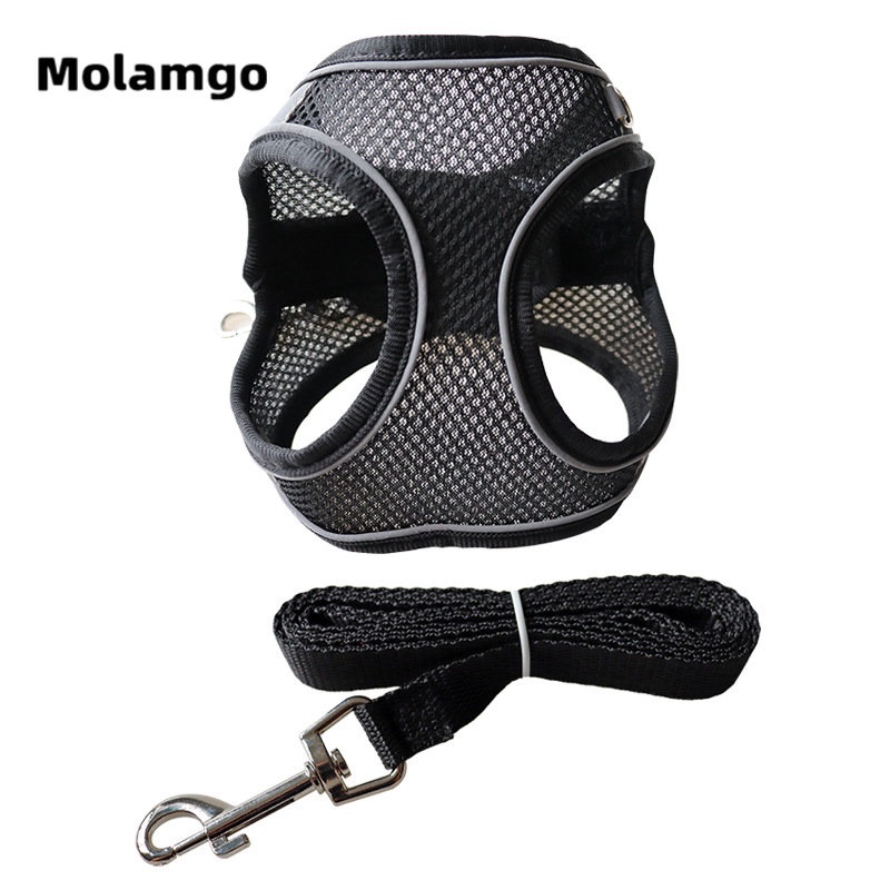 Dây Dắt Thú Cưng Phản Quang Thoáng Khí Kèm Dây Dắt