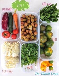 Bộ Hộp Tupperware Vensmart Vens