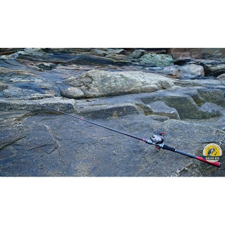 Máy ngang LURE STAR BLADE